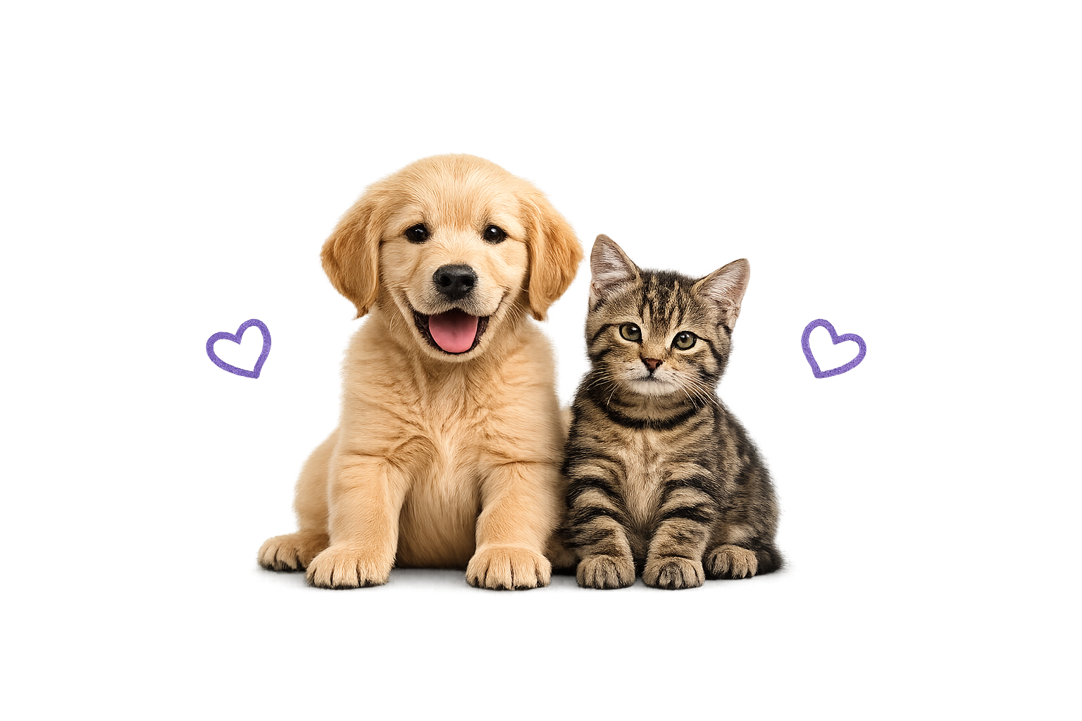Puppy and kitten