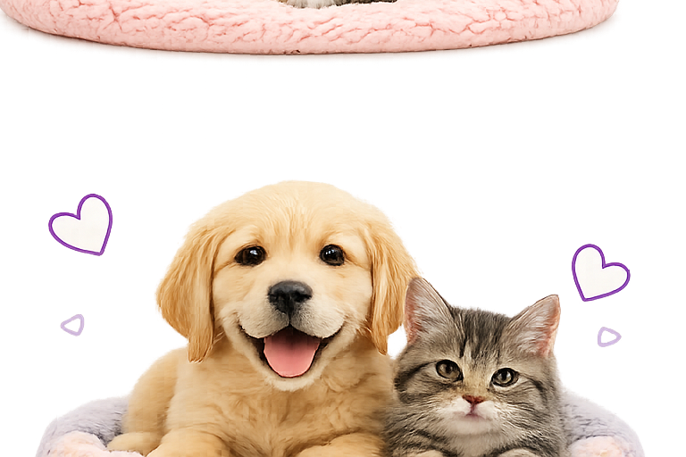 Prepare for Bringing Your Pet Home