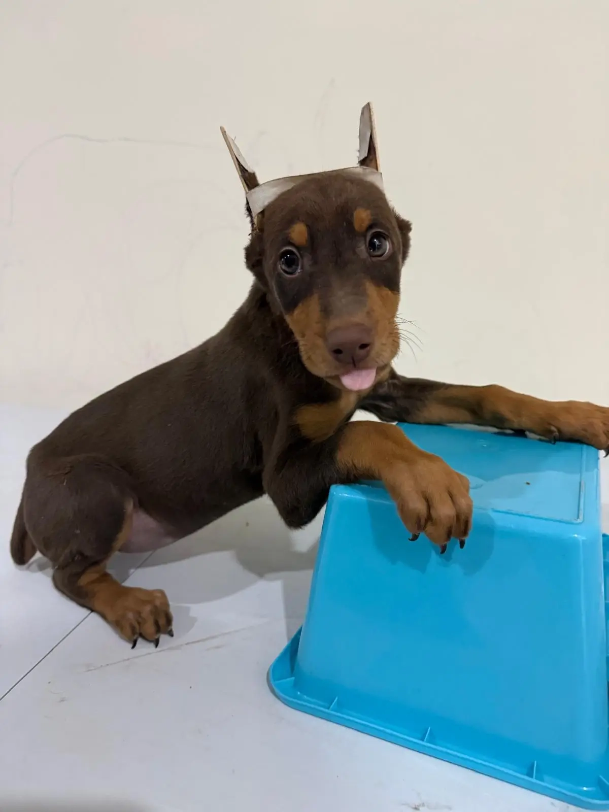 Kilo
