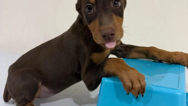 Kilo